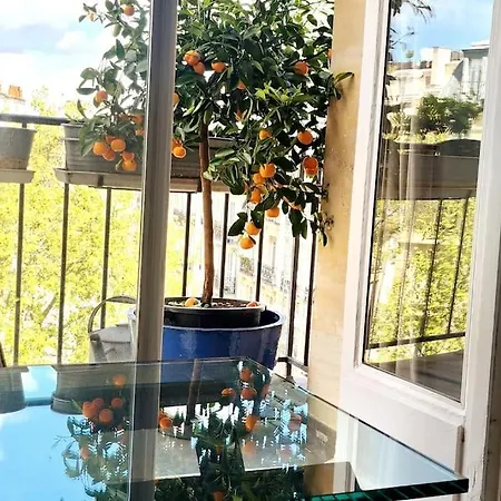 Apartment Pic De Notre Dame, Charming Paris